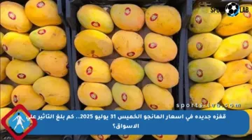 قفزة جديدة في أسعار المانجو الخميس 31 يوليو 2025.. كم بلغ التأثير على الأسواق؟